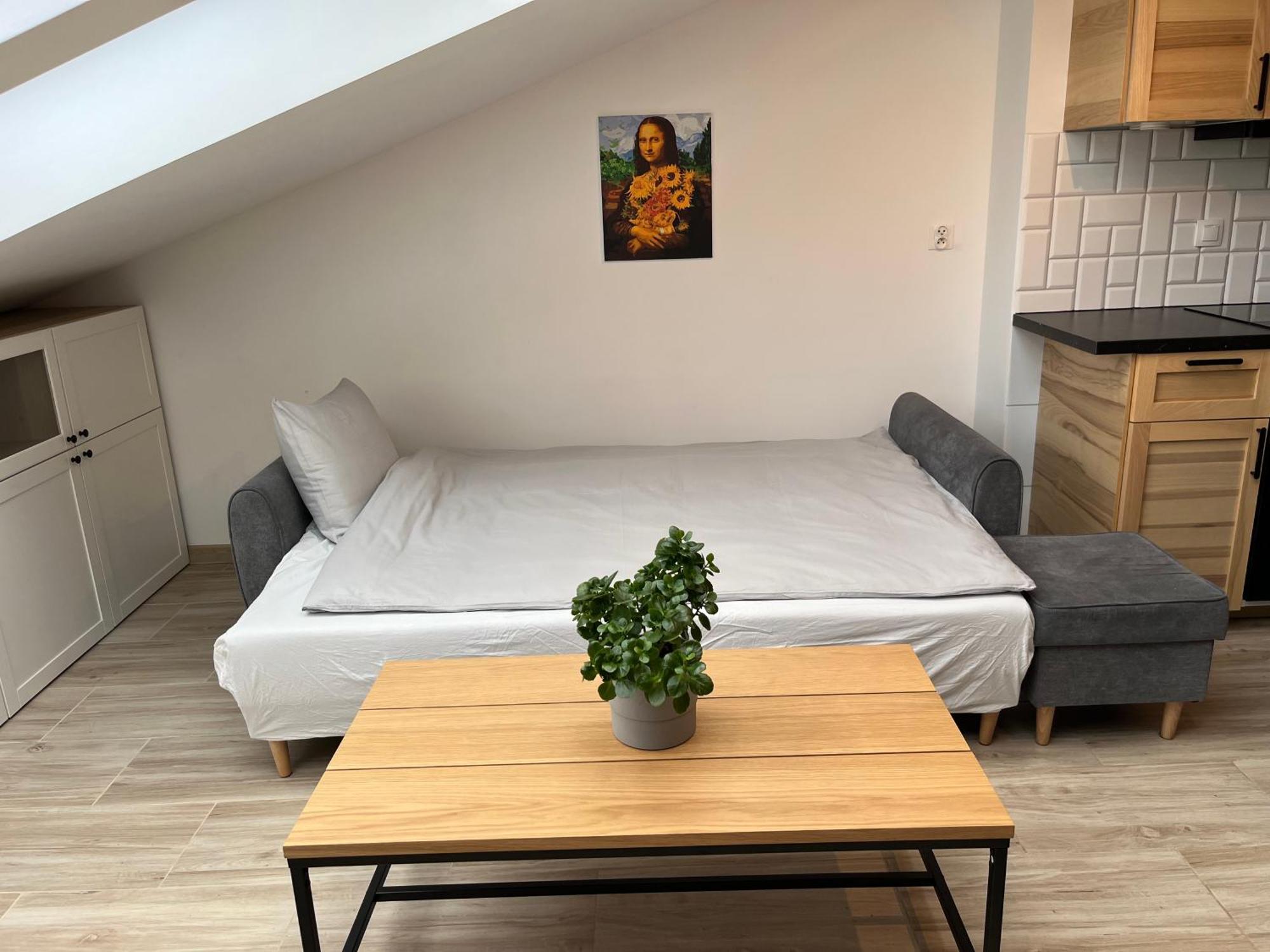 Feelhome Apartment With Kitchen Krakow Ngoại thất bức ảnh